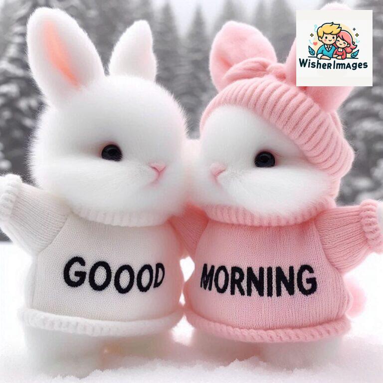 cute rabbit couple cartoon bunny good morning images rabbit good morning images funny (44)