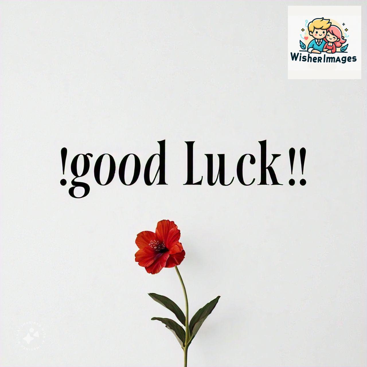 good luck images free download images of good luck symbols (1)