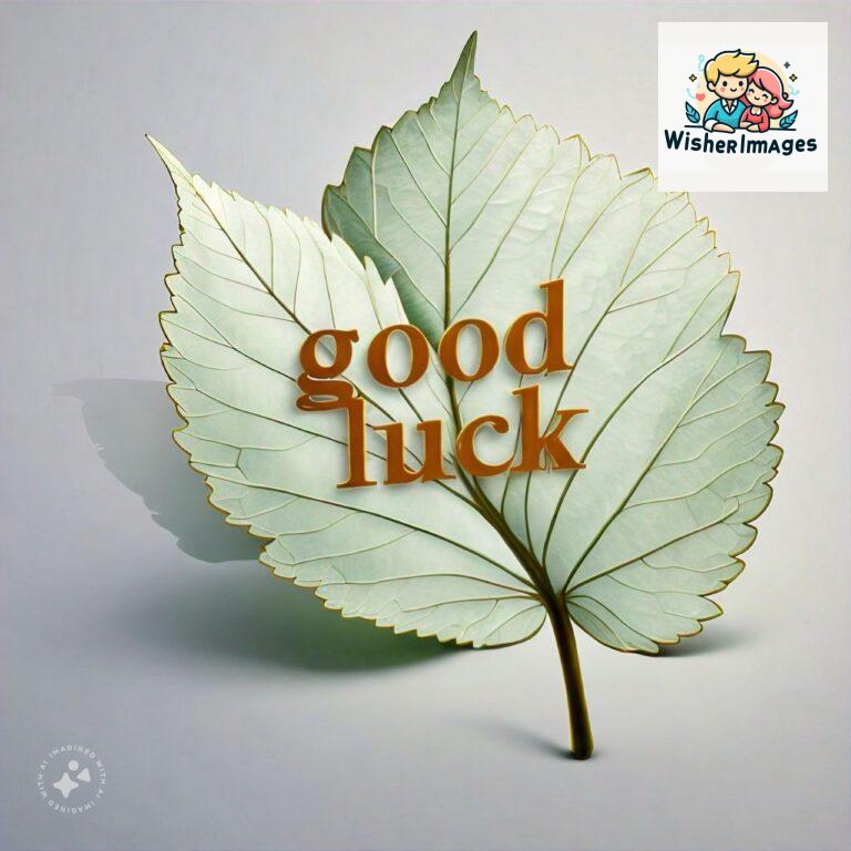 good-luck-images-free-download-images-of-good-luck-symbols_34