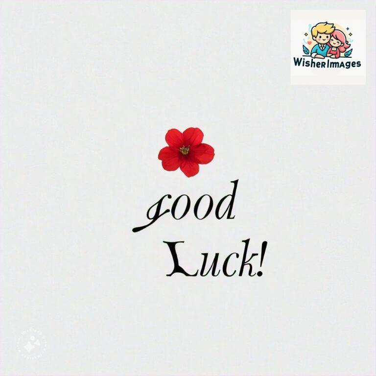 good-luck-images-free-download-images-of-good-luck-symbols_4