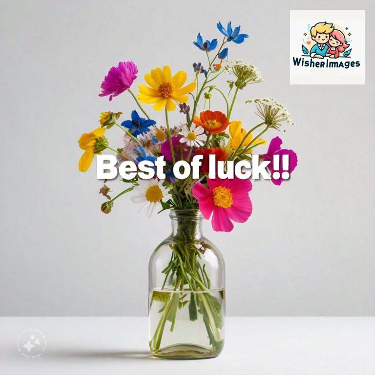 good-luck-images-free-download-images-of-good-luck-symbols_66