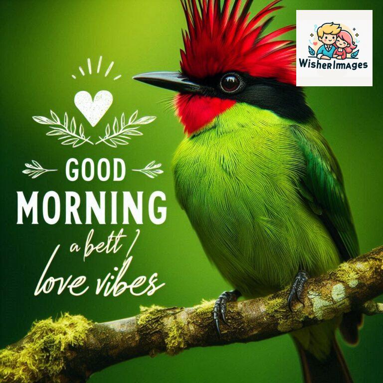 Good-Morning-Just-as-this-radiant-bird-brings-a-touch-of-color-to-the-morning-may-your-day-be-filled-with-vibrant-moment_106