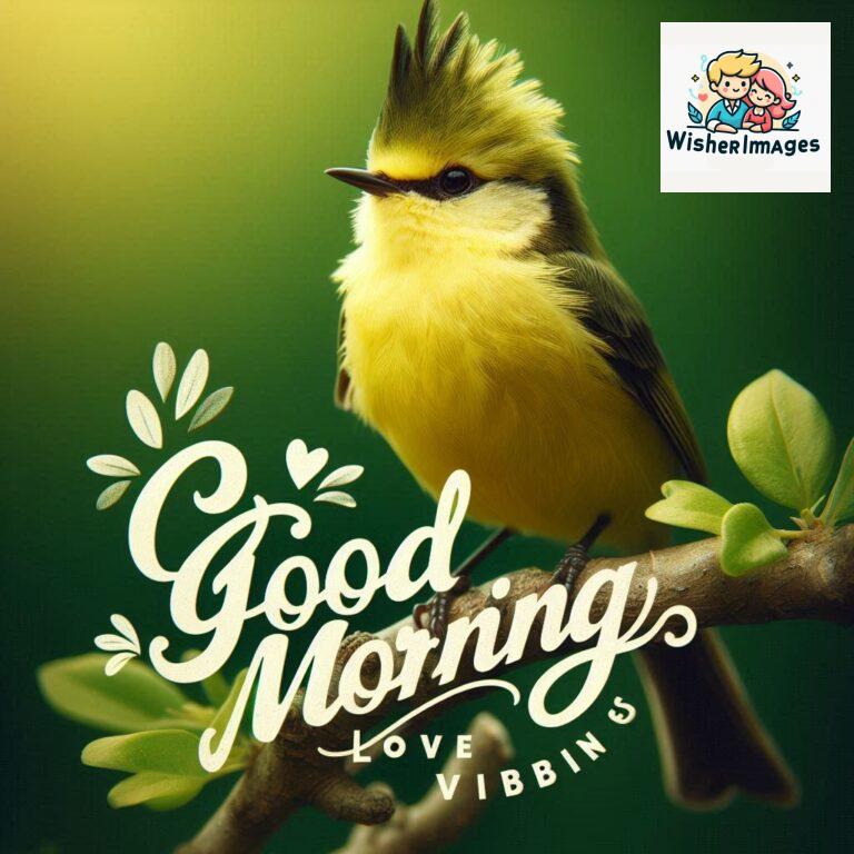 Good-Morning-Just-as-this-radiant-bird-brings-a-touch-of-color-to-the-morning-may-your-day-be-filled-with-vibrant-moment_144