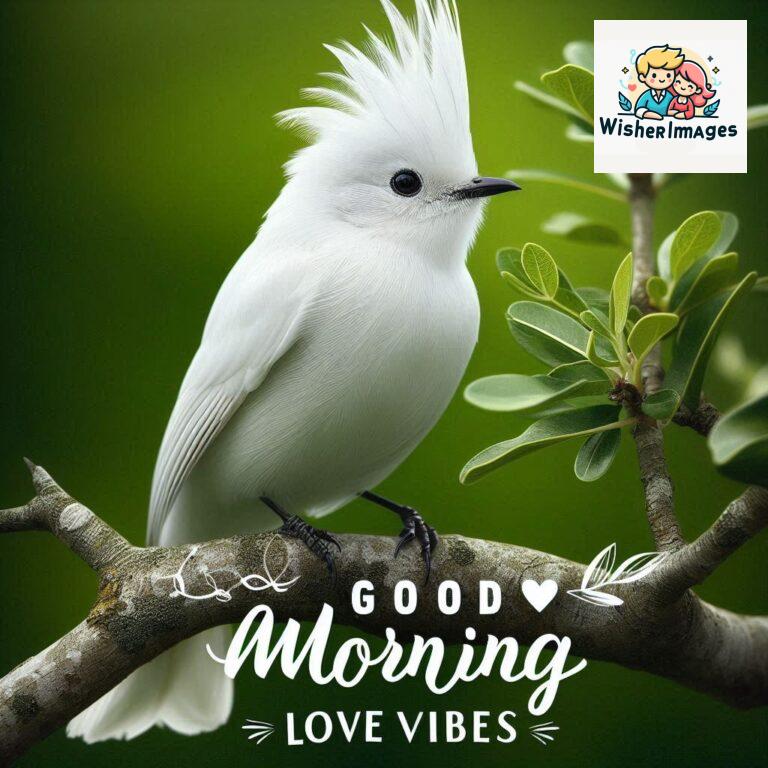 Good-Morning-Just-as-this-radiant-bird-brings-a-touch-of-color-to-the-morning-may-your-day-be-filled-with-vibrant-moment_147