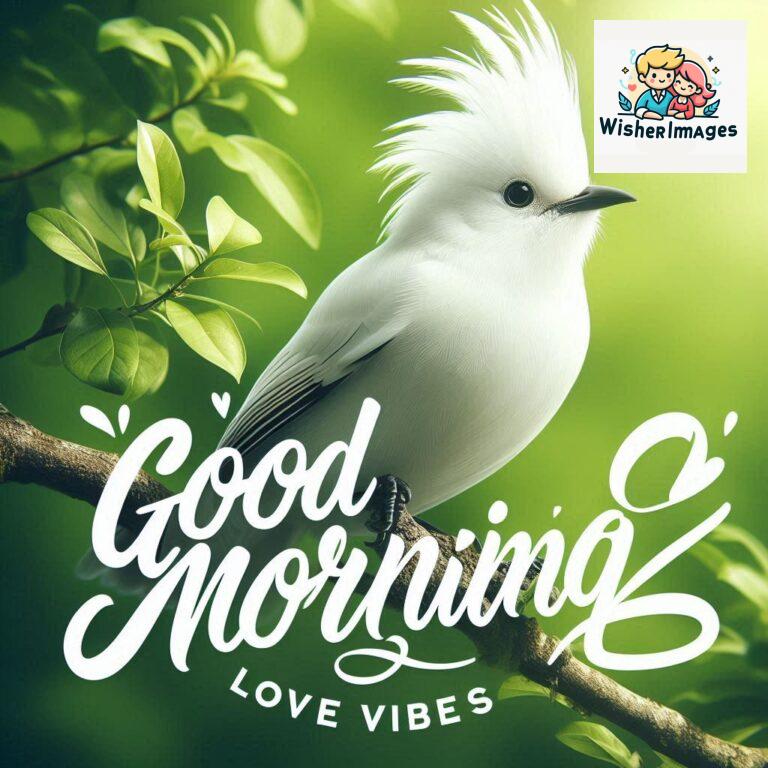 Good-Morning-Just-as-this-radiant-bird-brings-a-touch-of-color-to-the-morning-may-your-day-be-filled-with-vibrant-moment_149