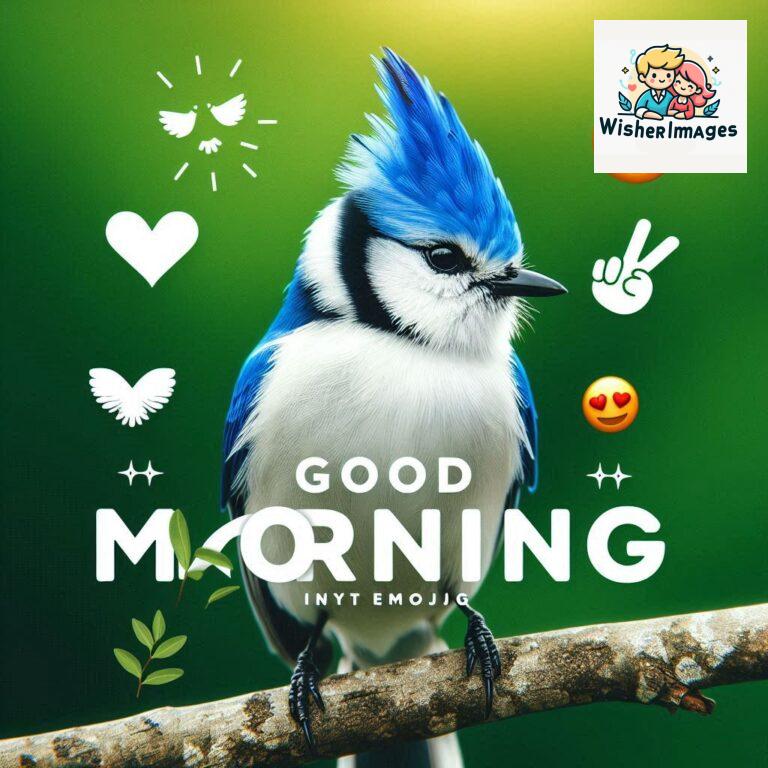 Good-Morning-Just-as-this-radiant-bird-brings-a-touch-of-color-to-the-morning-may-your-day-be-filled-with-vibrant-moment_153