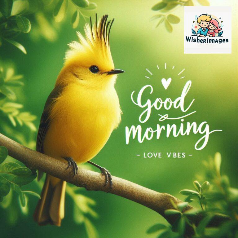 Good-Morning-Just-as-this-radiant-bird-brings-a-touch-of-color-to-the-morning-may-your-day-be-filled-with-vibrant-moment_156