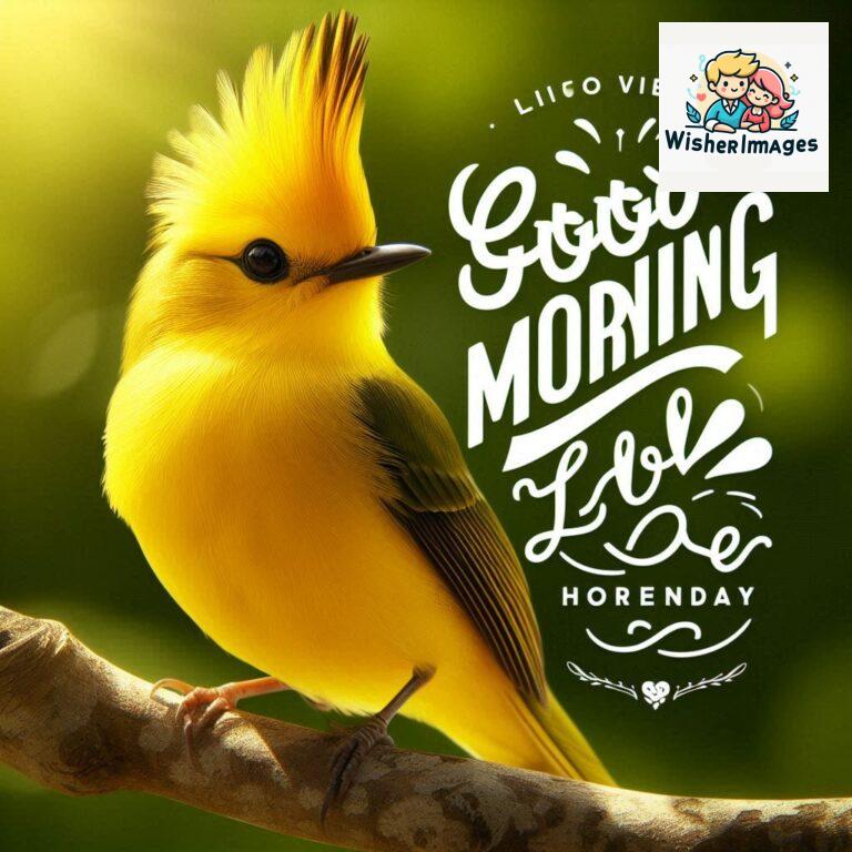 Good-Morning-Just-as-this-radiant-bird-brings-a-touch-of-color-to-the-morning-may-your-day-be-filled-with-vibrant-moment_165