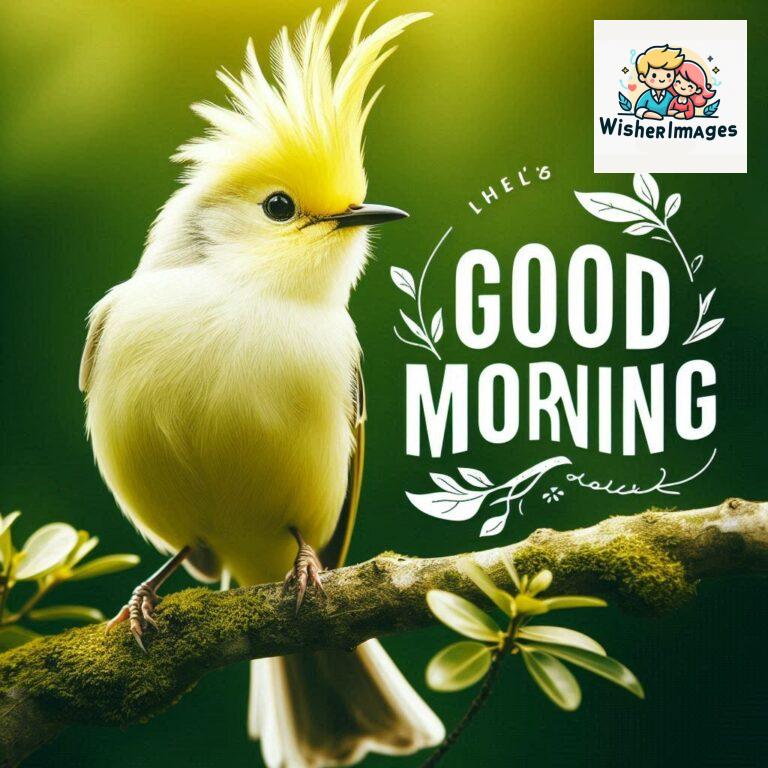 Good-Morning-Just-as-this-radiant-bird-brings-a-touch-of-color-to-the-morning-may-your-day-be-filled-with-vibrant-moment_179