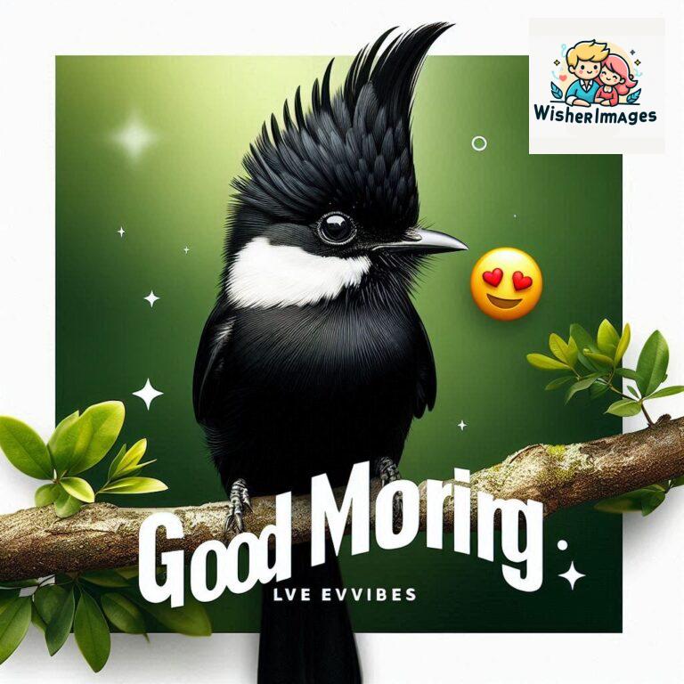 Good-Morning-Just-as-this-radiant-bird-brings-a-touch-of-color-to-the-morning-may-your-day-be-filled-with-vibrant-moment_180