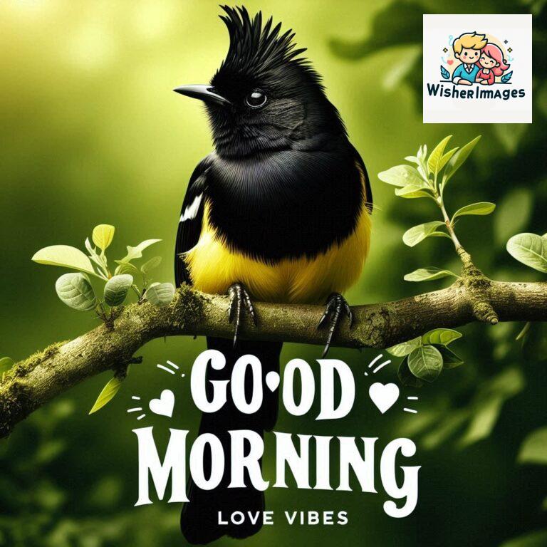 Good-Morning-Just-as-this-radiant-bird-brings-a-touch-of-color-to-the-morning-may-your-day-be-filled-with-vibrant-moment_21