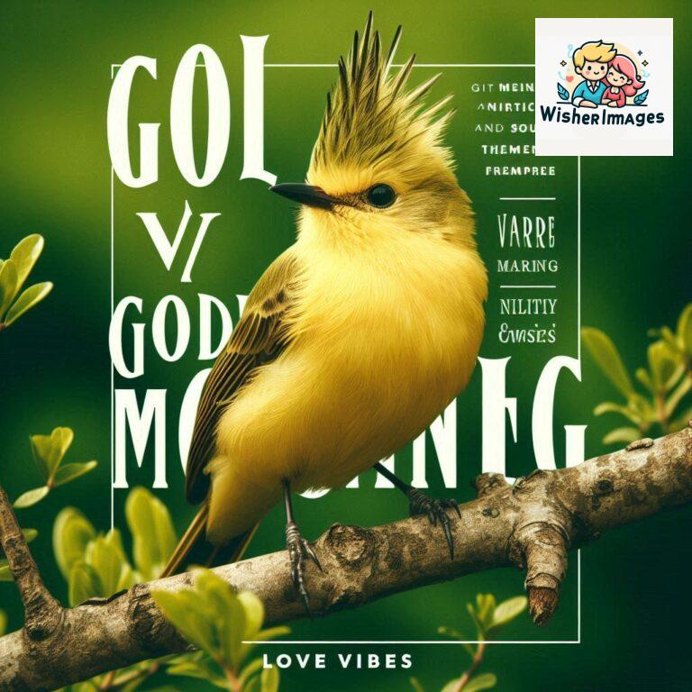 Good-Morning-Just-as-this-radiant-bird-brings-a-touch-of-color-to-the-morning-may-your-day-be-filled-with-vibrant-moment_215