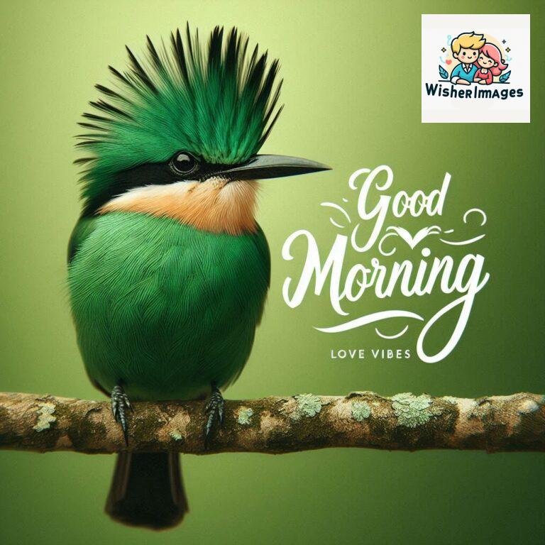 Good-Morning-Just-as-this-radiant-bird-brings-a-touch-of-color-to-the-morning-may-your-day-be-filled-with-vibrant-moment_224