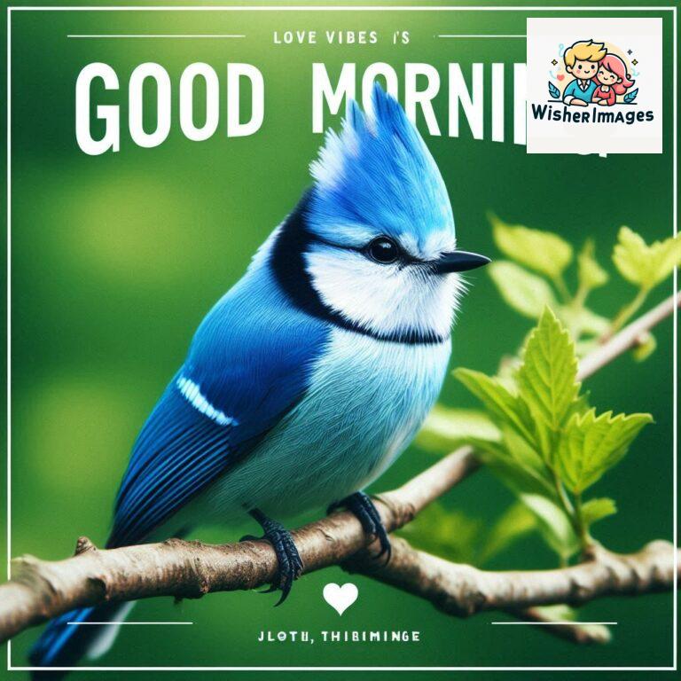 Good-Morning-Just-as-this-radiant-bird-brings-a-touch-of-color-to-the-morning-may-your-day-be-filled-with-vibrant-moment_227