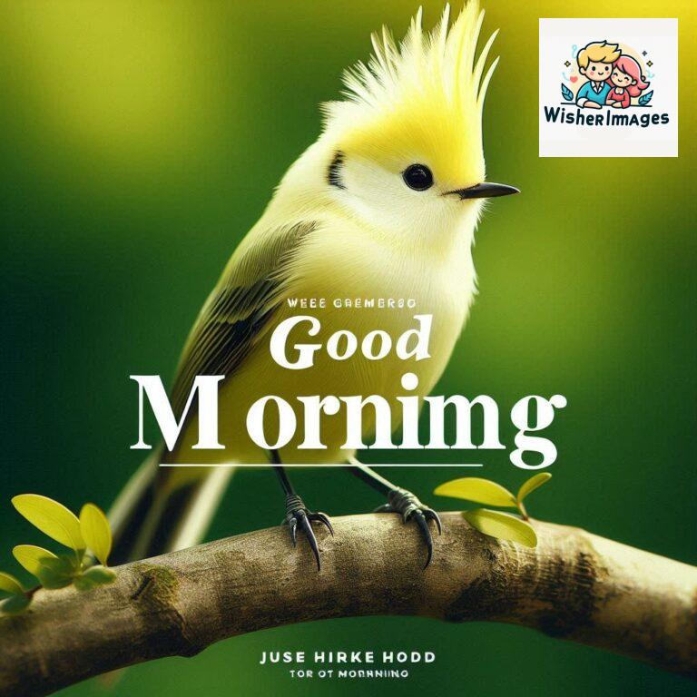 Good-Morning-Just-as-this-radiant-bird-brings-a-touch-of-color-to-the-morning-may-your-day-be-filled-with-vibrant-moment_24