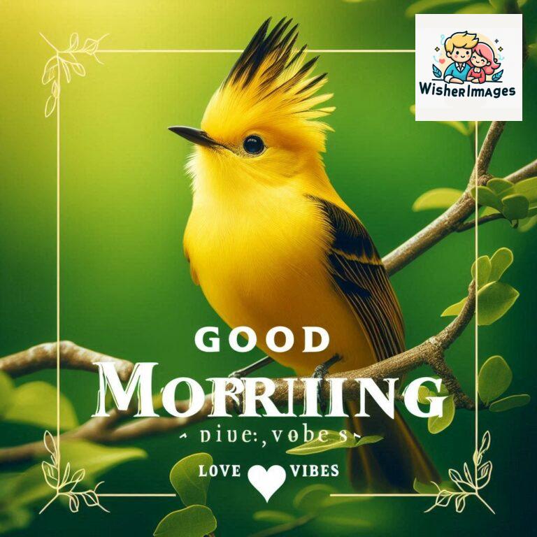 Good-Morning-Just-as-this-radiant-bird-brings-a-touch-of-color-to-the-morning-may-your-day-be-filled-with-vibrant-moment_30