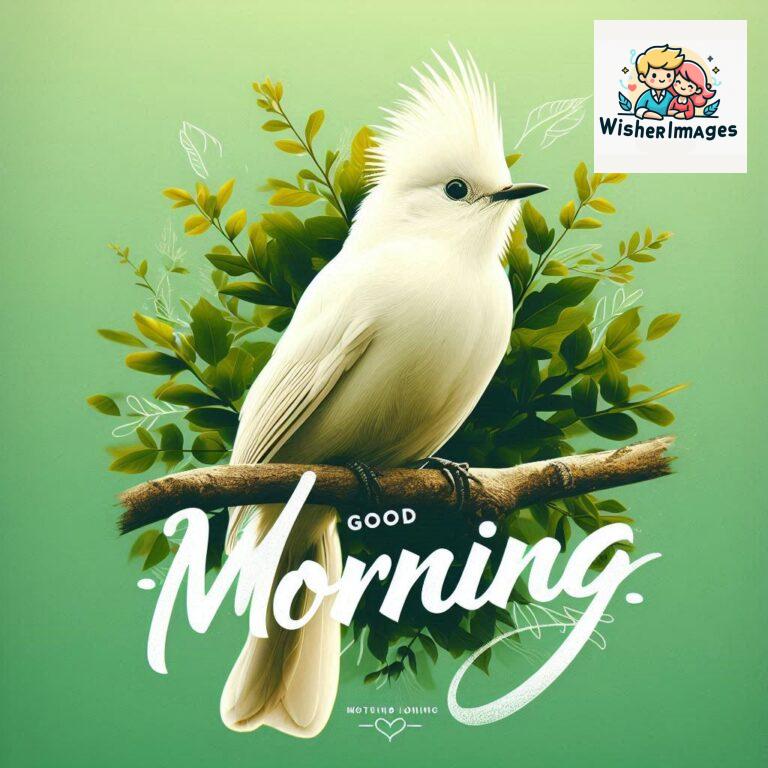 Good-Morning-Just-as-this-radiant-bird-brings-a-touch-of-color-to-the-morning-may-your-day-be-filled-with-vibrant-moment_32