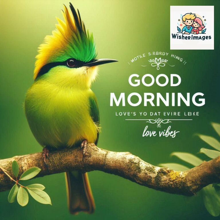 Good-Morning-Just-as-this-radiant-bird-brings-a-touch-of-color-to-the-morning-may-your-day-be-filled-with-vibrant-moment_33