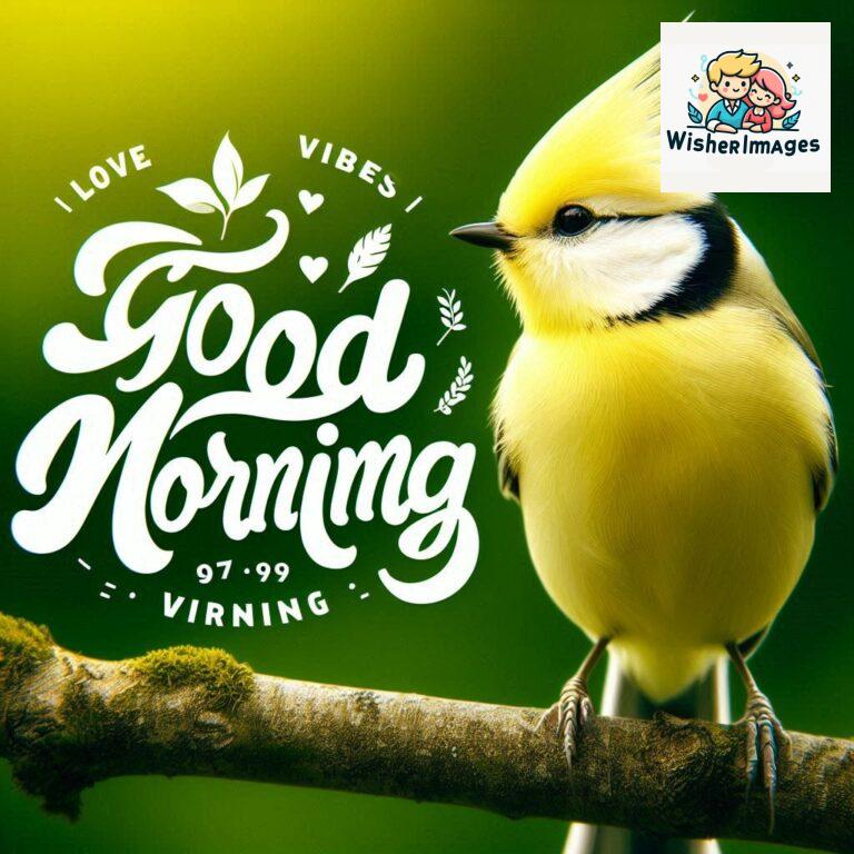 Good-Morning-Just-as-this-radiant-bird-brings-a-touch-of-color-to-the-morning-may-your-day-be-filled-with-vibrant-moment_37