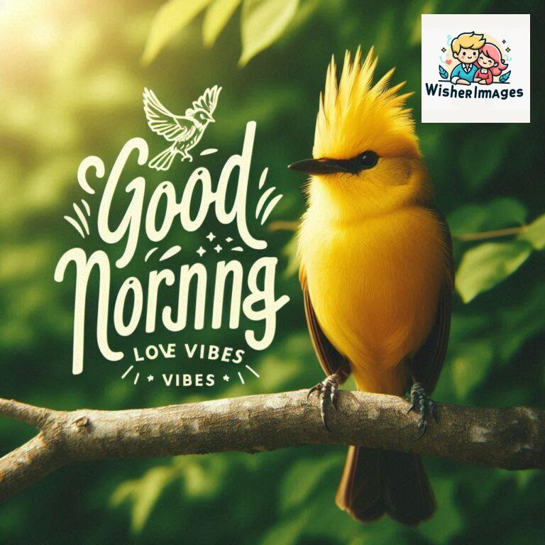 Good-Morning-Just-as-this-radiant-bird-brings-a-touch-of-color-to-the-morning-may-your-day-be-filled-with-vibrant-moment_38