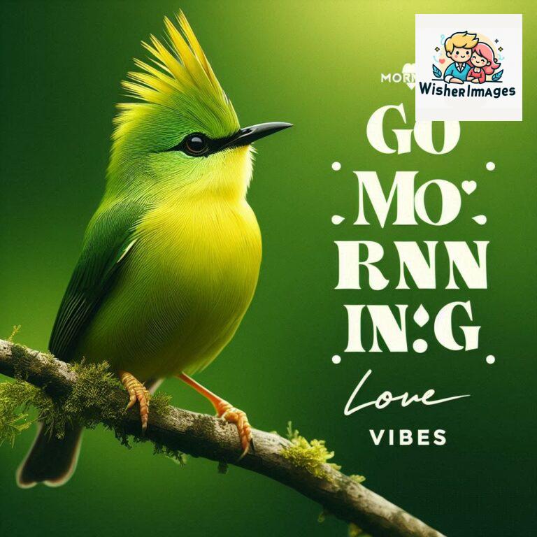 Good-Morning-Just-as-this-radiant-bird-brings-a-touch-of-color-to-the-morning-may-your-day-be-filled-with-vibrant-moment_63