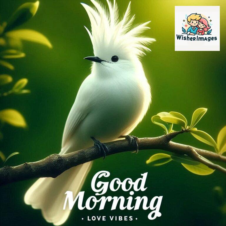 Good-Morning-Just-as-this-radiant-bird-brings-a-touch-of-color-to-the-morning-may-your-day-be-filled-with-vibrant-moment_70