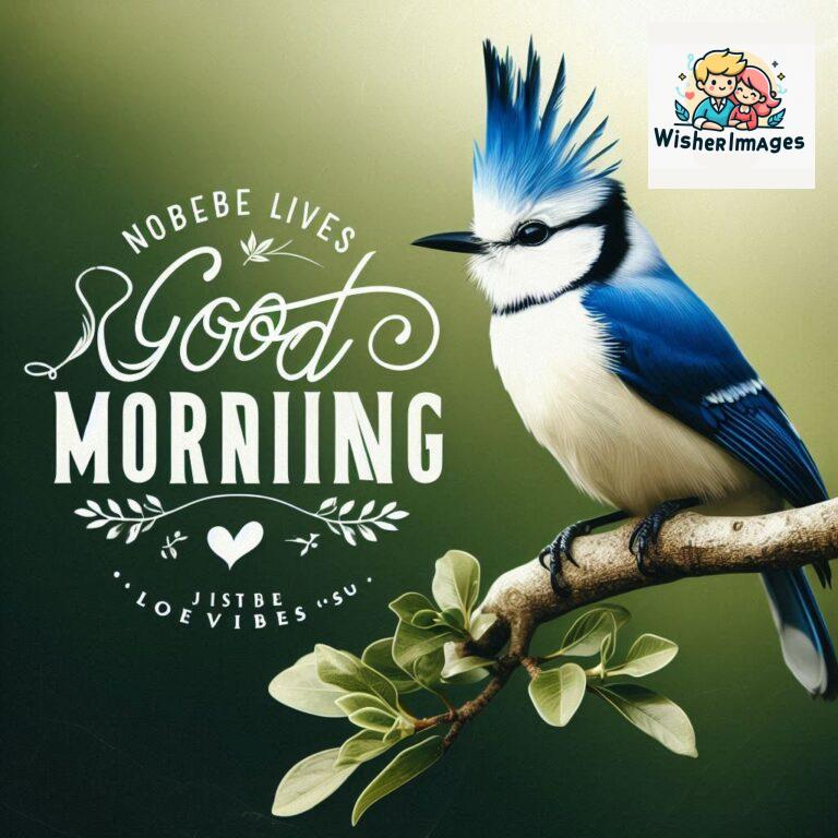 Good-Morning-Just-as-this-radiant-bird-brings-a-touch-of-color-to-the-morning-may-your-day-be-filled-with-vibrant-moment_83