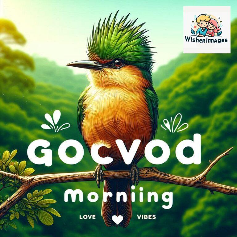 Good-Morning-Just-as-this-radiant-bird-brings-a-touch-of-color-to-the-morning-may-your-day-be-filled-with-vibrant-moment_96