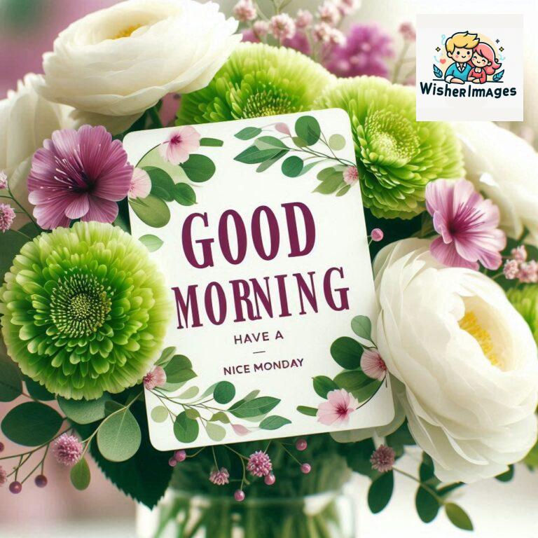 good-morning-flower-images-hd-for-whatsapp-free-download-free-whatsapp-good-morning-images-download_0