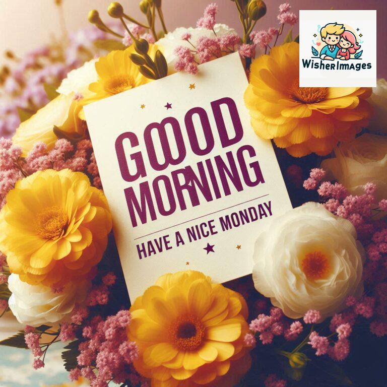 good-morning-flower-images-hd-for-whatsapp-free-download-free-whatsapp-good-morning-images-download_68