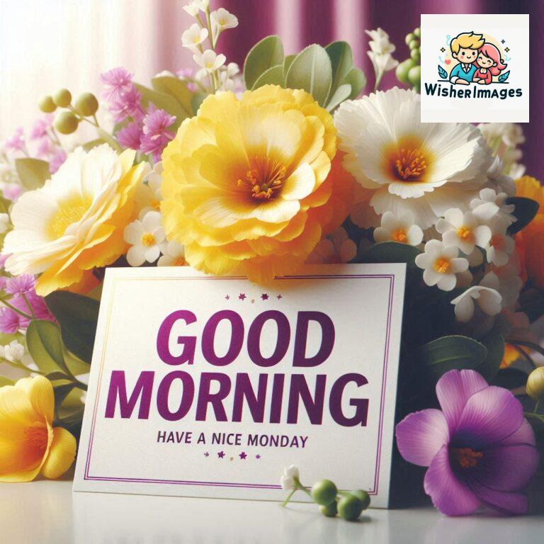 good-morning-flower-images-hd-for-whatsapp-free-download-free-whatsapp-good-morning-images-download_82