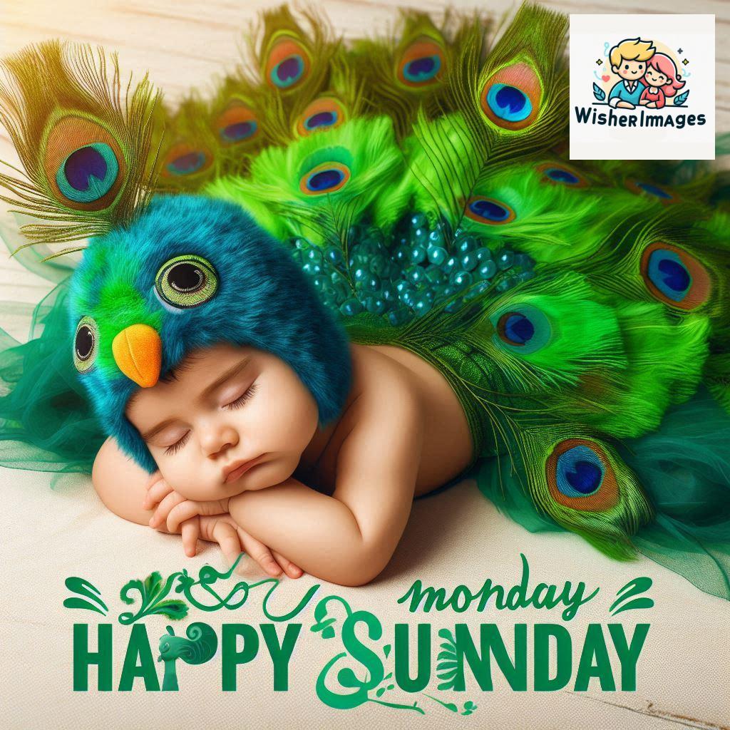 good morning happy sunday images for whatsapp sunday morning images for whatsapp free download (131)