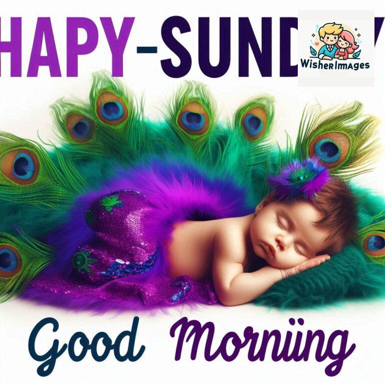 good-morning-happy-sunday-images-for-whatsapp-sunday-morning-images-for-whatsapp-free-download_53