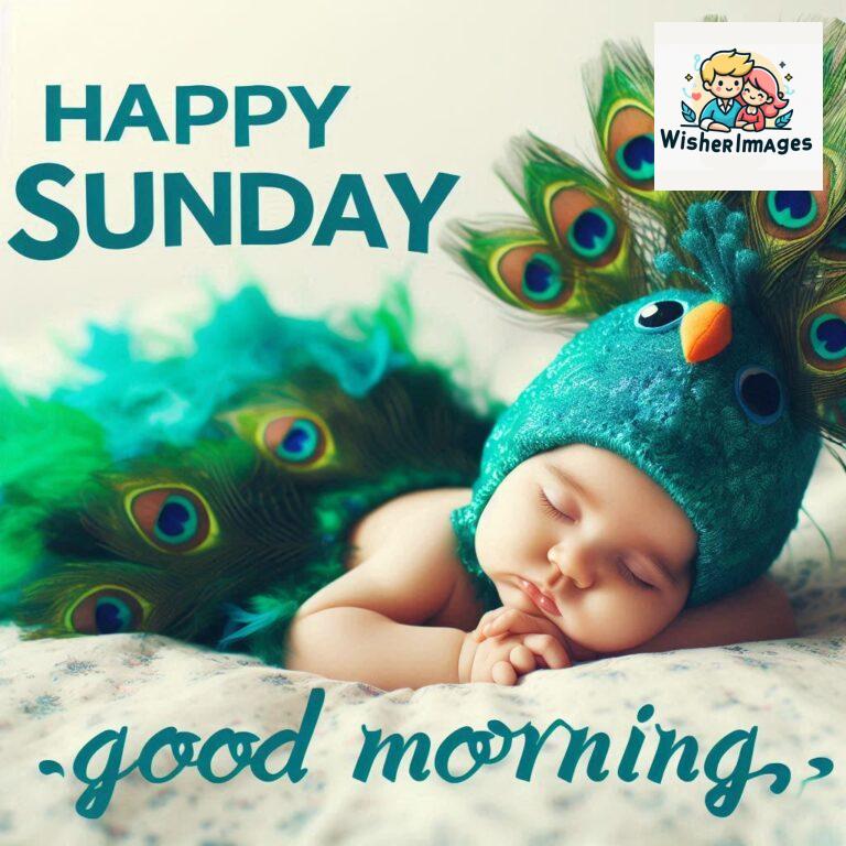 good-morning-happy-sunday-images-for-whatsapp-sunday-morning-images-for-whatsapp-free-download_66