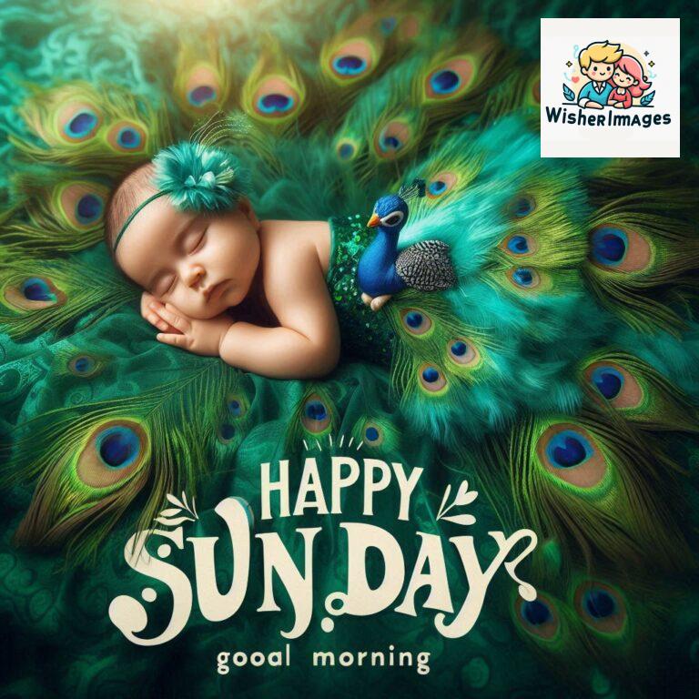 good-morning-happy-sunday-images-for-whatsapp-sunday-morning-images-for-whatsapp-free-download_70